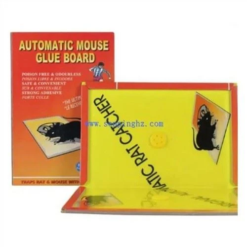 Pièges à souris
